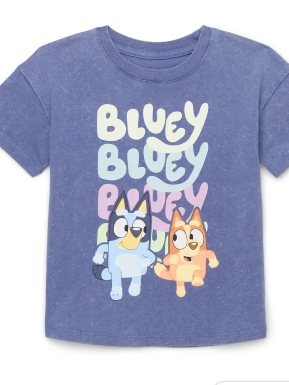 Bluey Graphic Tee - Blue Kids Shirt Size 3T